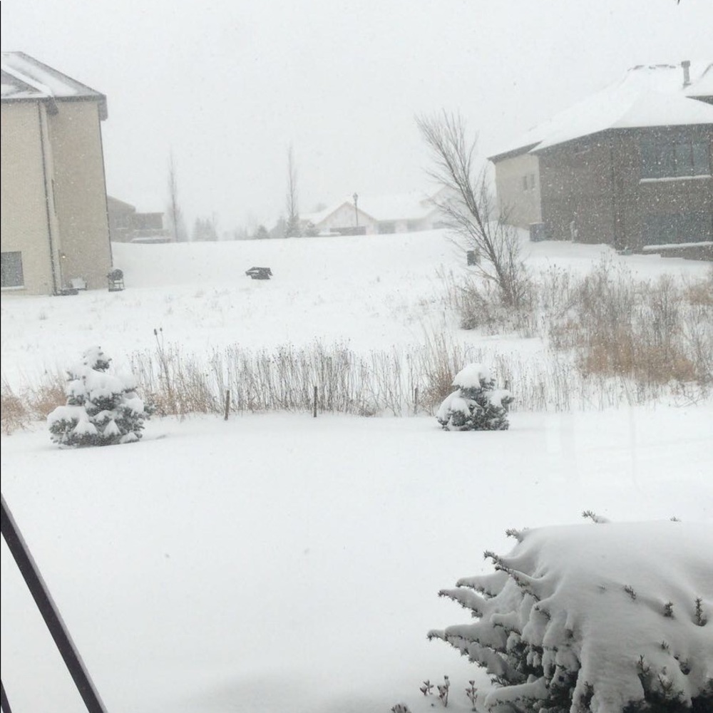 Meet your Posher, Dalya